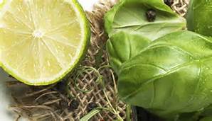 basil and lime