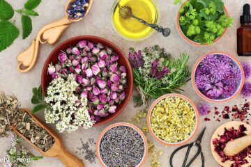 What Is Plant-Powered Beauty
