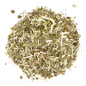 z Beauty Herb - Figwort