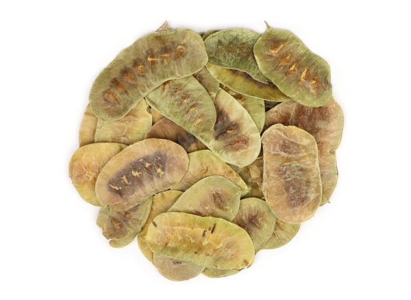 z Beauty Herb - Senna Pod